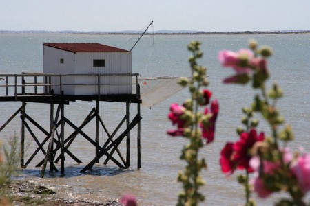 CARRELET ET ILE MADAME AU LOIN